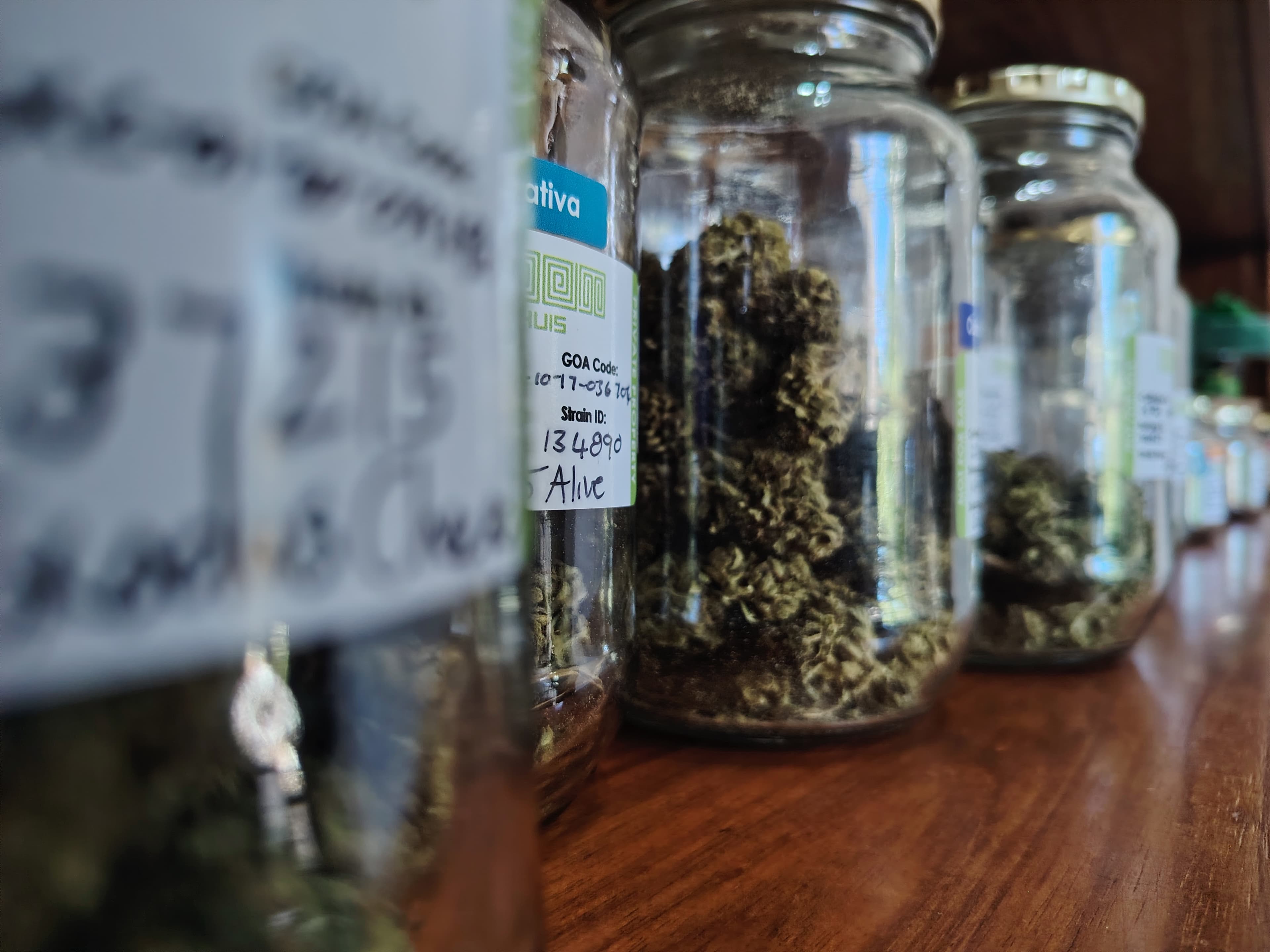 Start a Cannabis Social Club in South Africa