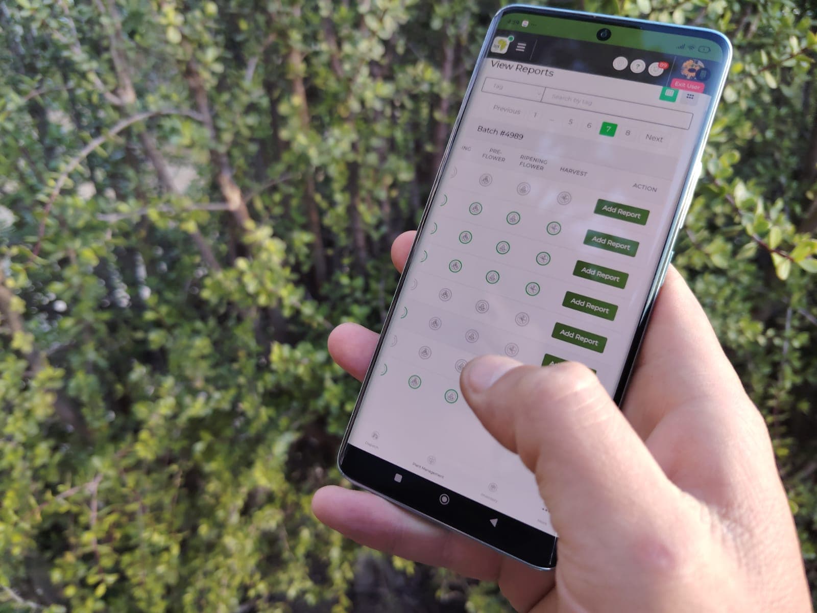 GOAlite Cannabis Cultivation Management Software on mobile device being used to view photo reporting status of plant