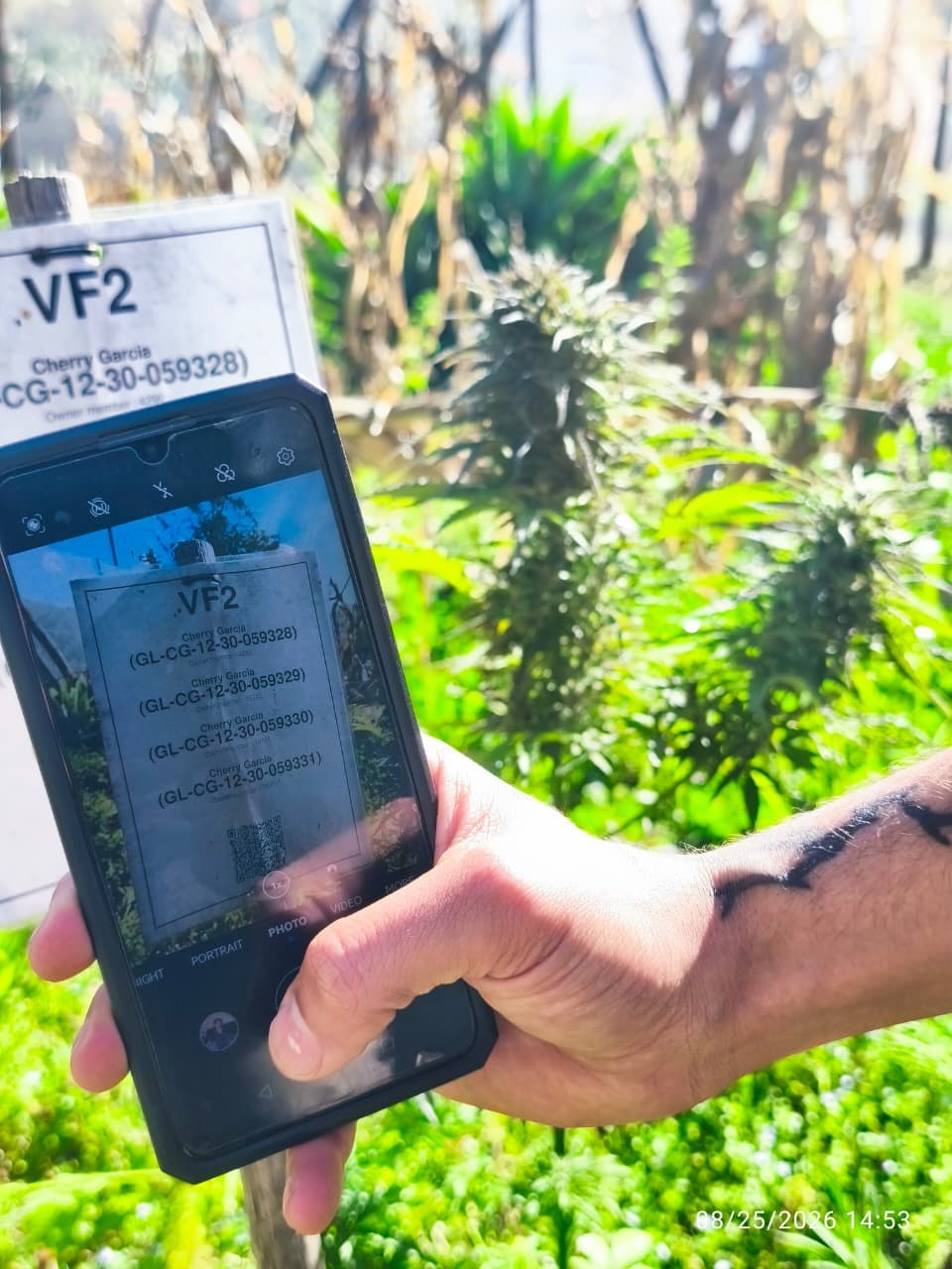 GOAlite Cannabis Cultivation Management Software on mobile device being used to take compliance photo