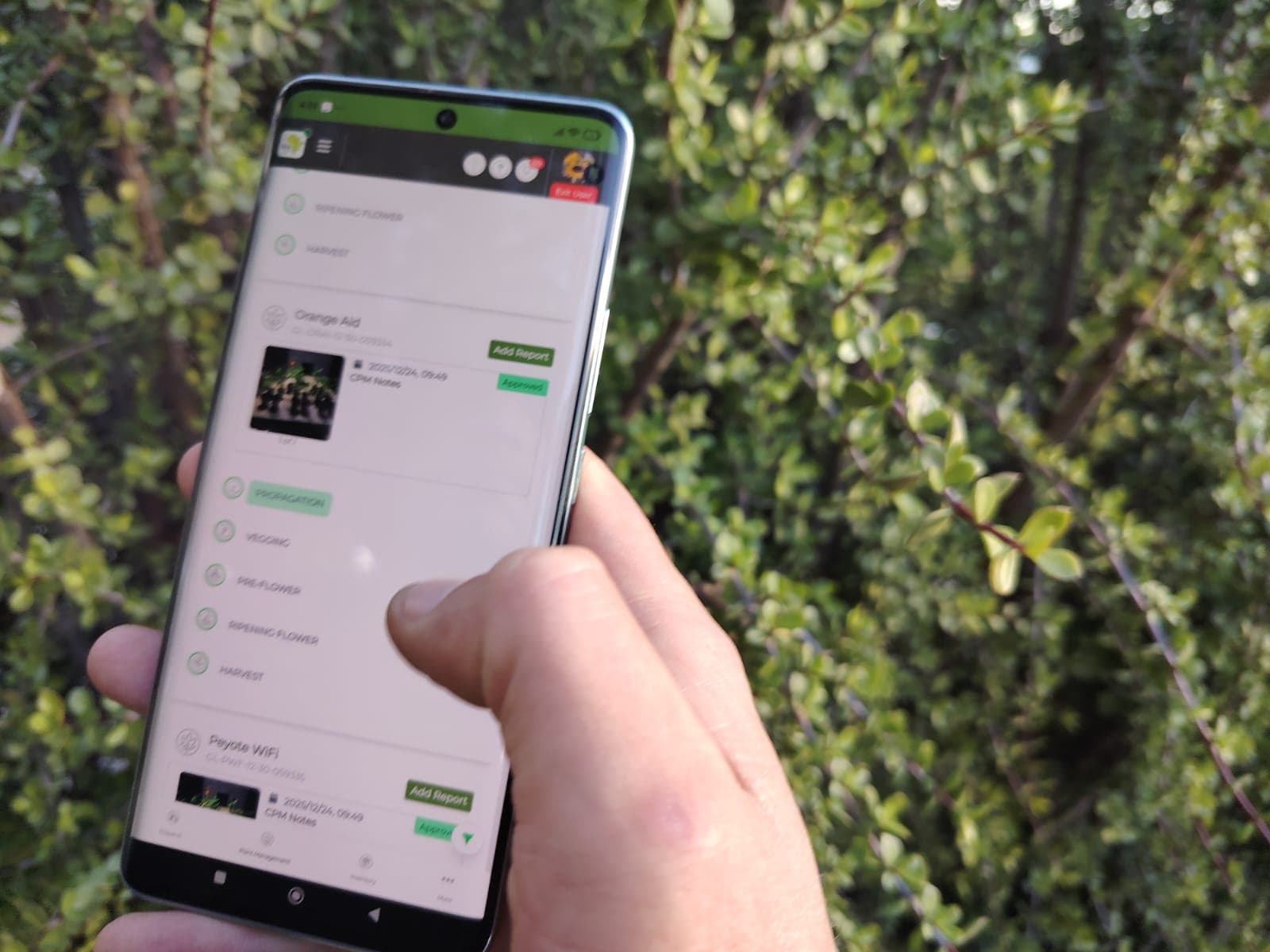 GOAlite Cannabis Cultivation Management Software on mobile device being used to view photo reporting status of plant