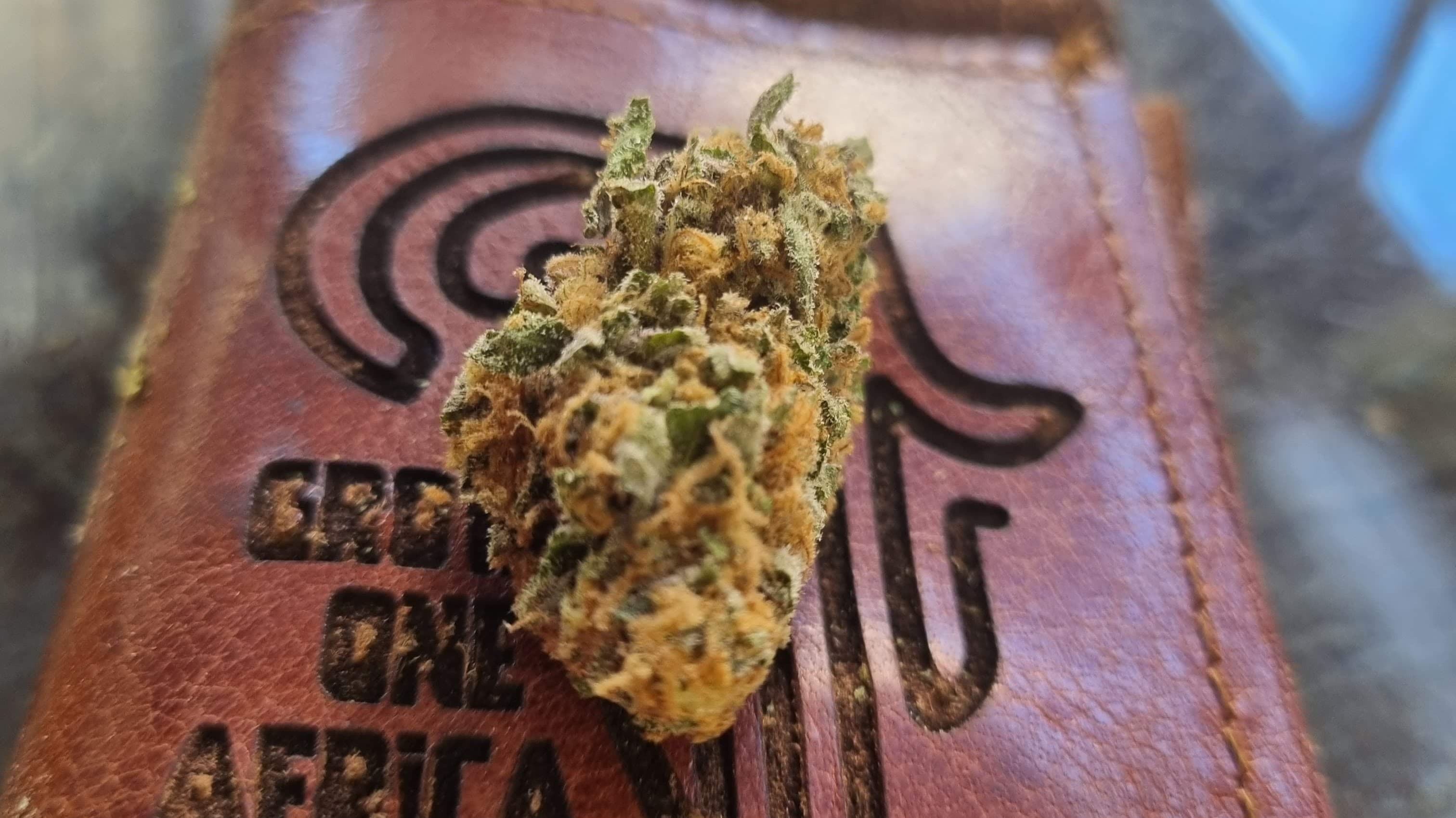Join a Cannabis Club in South Africa